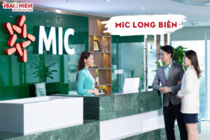 Lịch sử ra đời ngành bảo hiểm