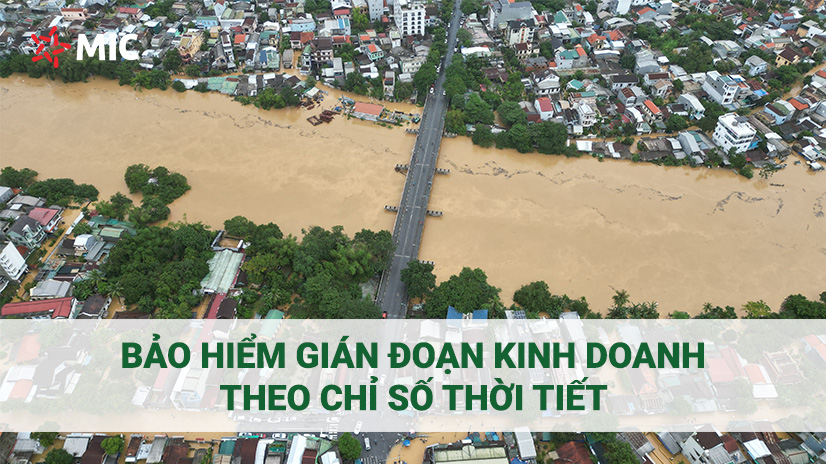 Bảo hiểm gián đoạn kinh doanh theo chỉ số thời tiết